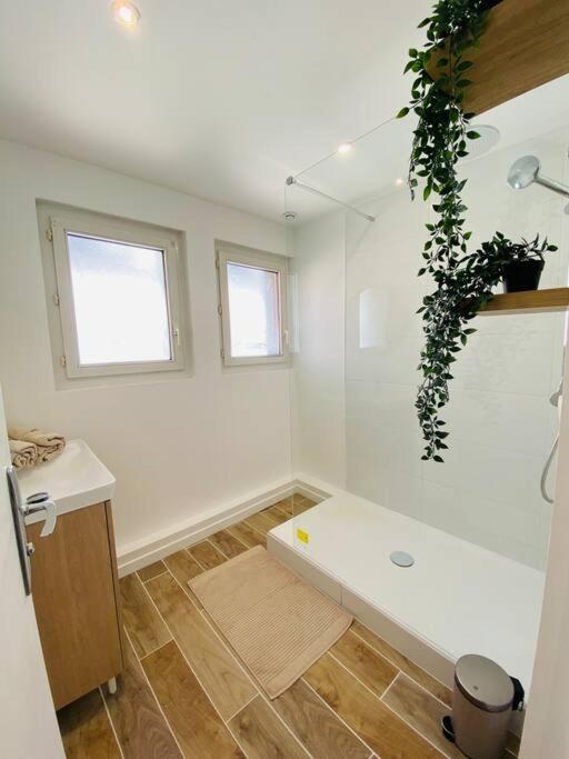 Les Deux Anges Apartment Rouen Ngoại thất bức ảnh